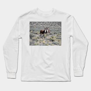 Wild burros, donkeys, wildlife, Mama and Baby Burro Long Sleeve T-Shirt